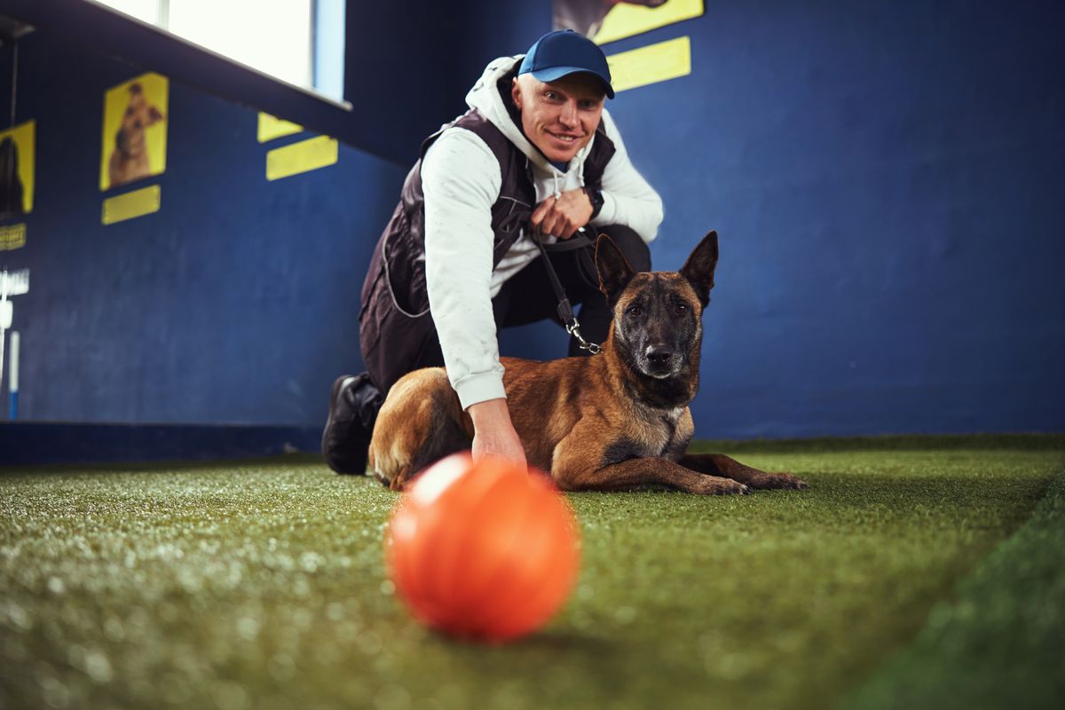 Addestratore con cane pastore tedesco.